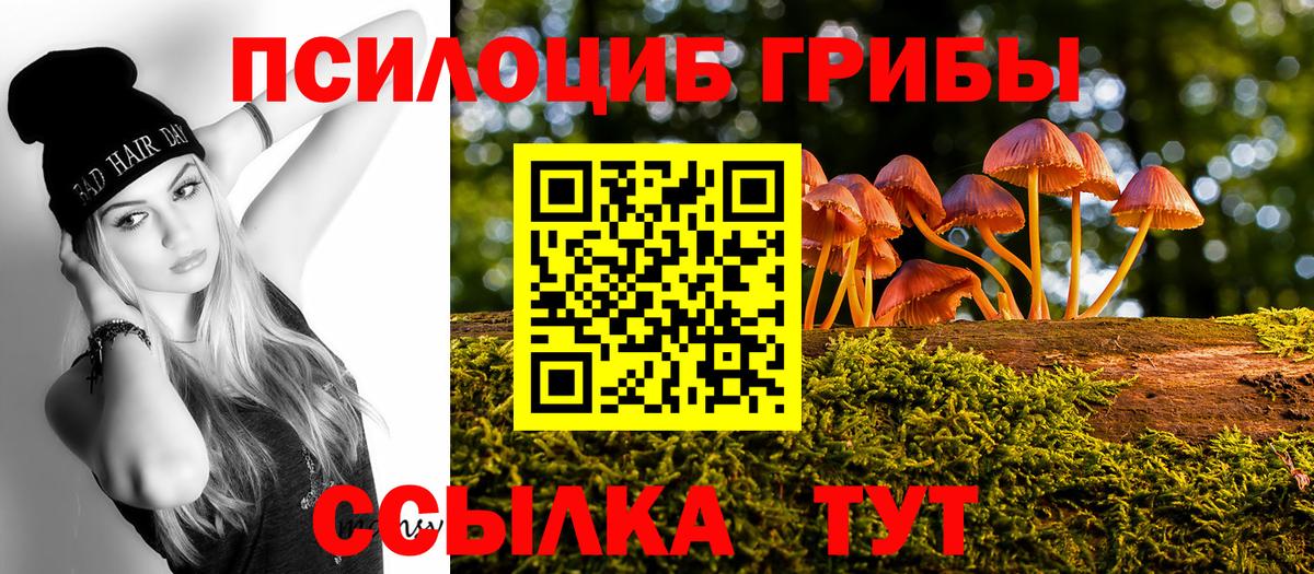 Кохма  Галлюциногенные грибы ЛСД  Галлюциногенные грибы мицелий  Вход с VPN 